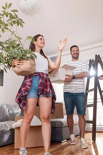 newmarket movers 