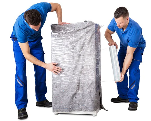 Professional Moving Services